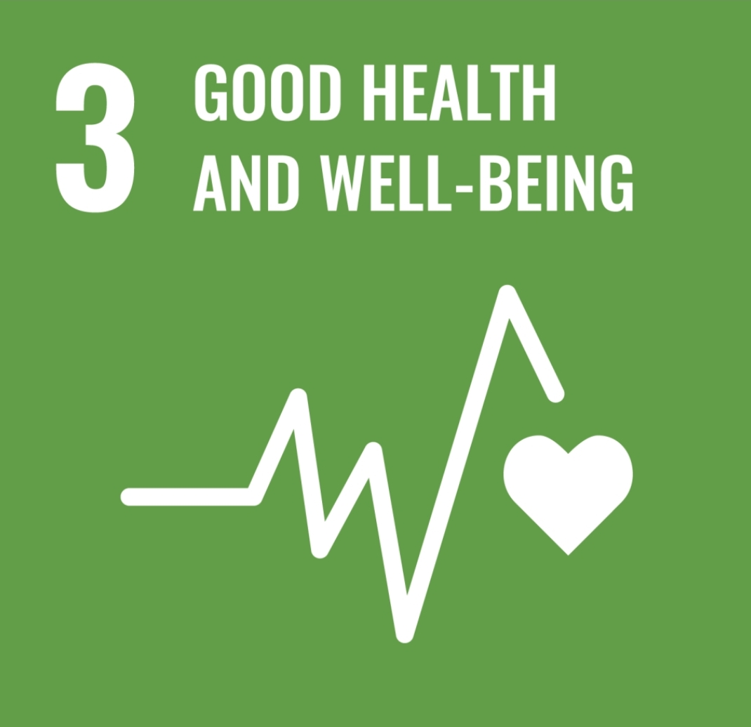 SDG 3